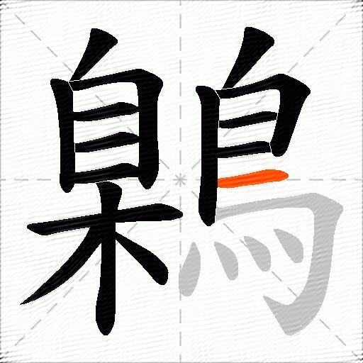 鷍
