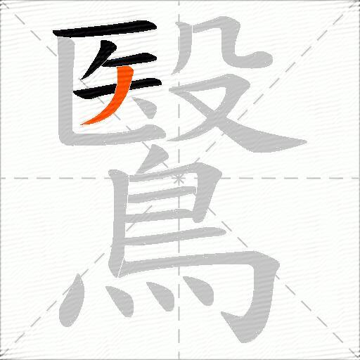 鷖