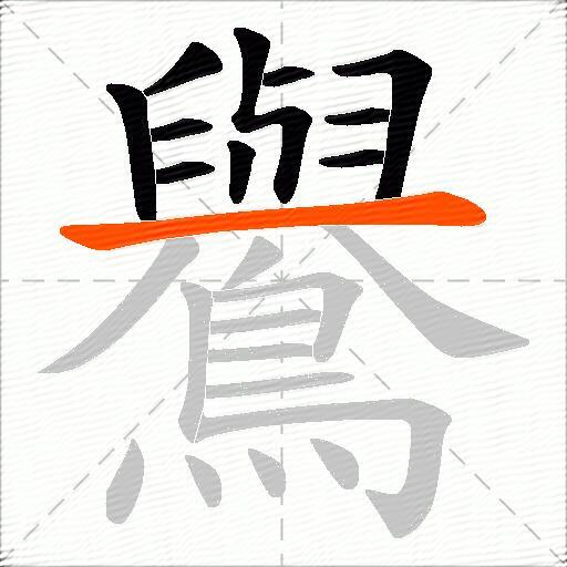 鸒