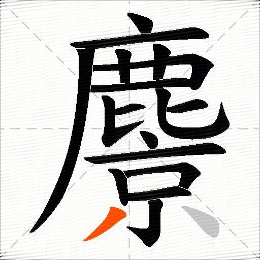 麖