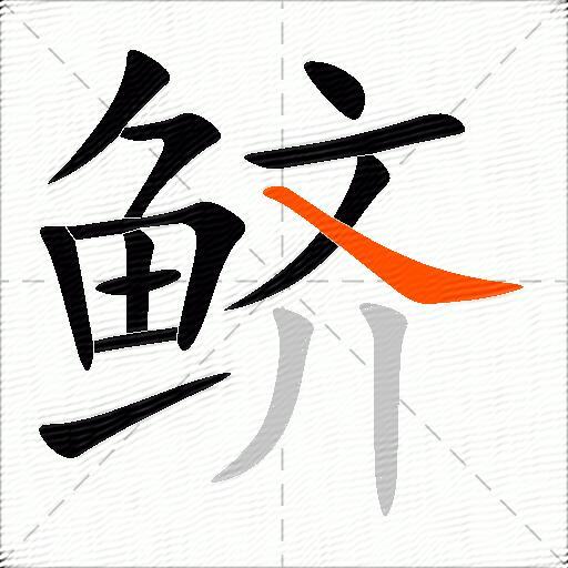 鲚