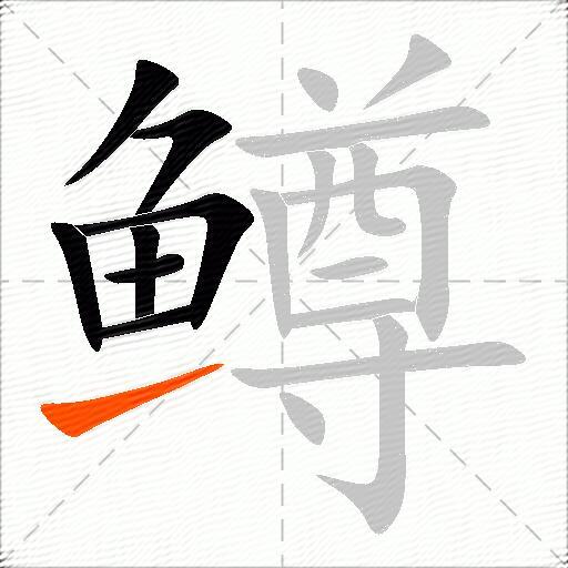 鳟