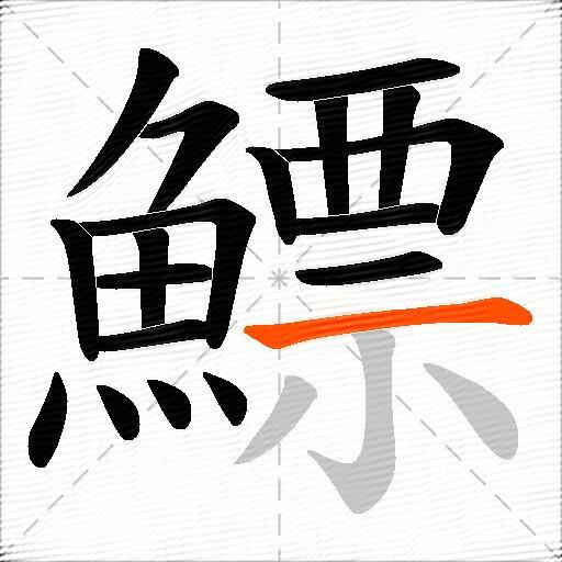 鰾