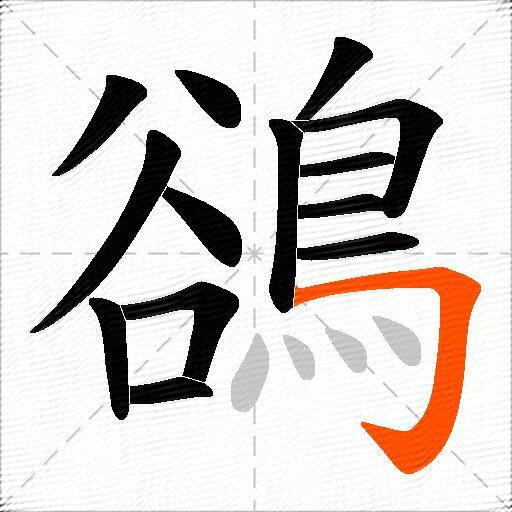 鵒
