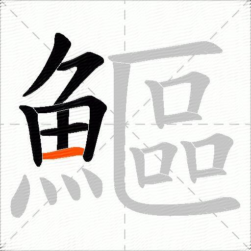 鰸