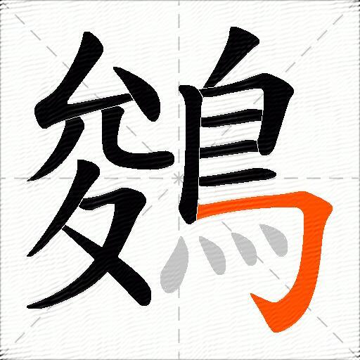 鵕