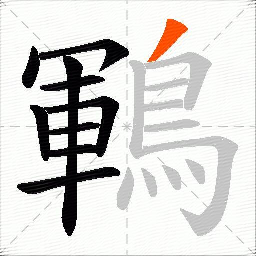 鶤