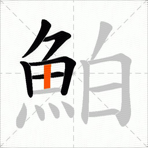 鮊