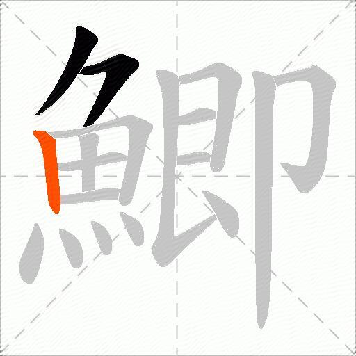鯽