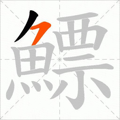 鰾