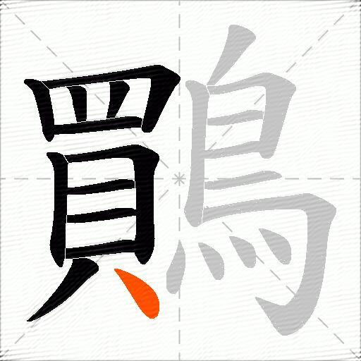 鷶
