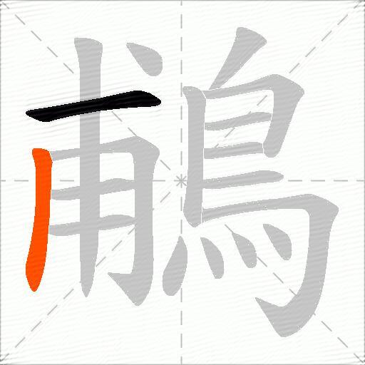 鵏