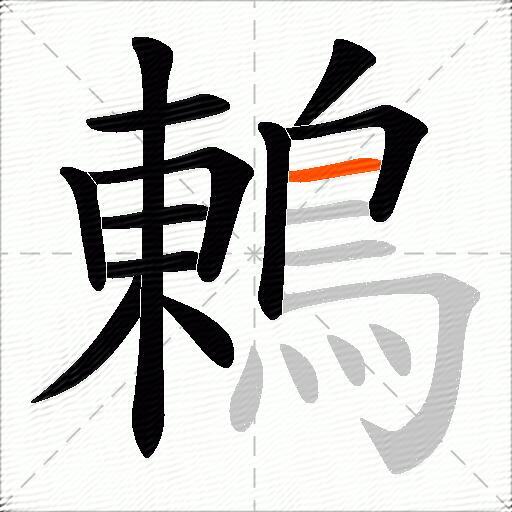 鶇