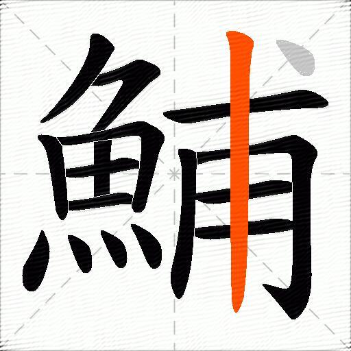 鯆