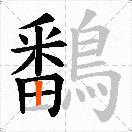 鷭