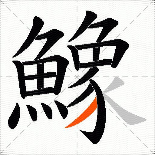 鱌