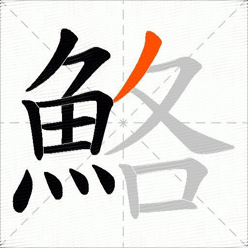 鮥