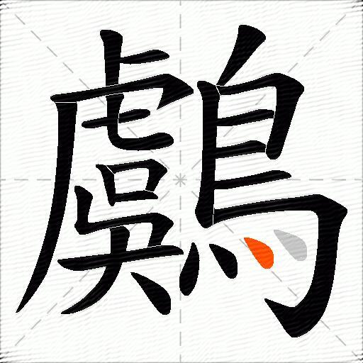 鸆