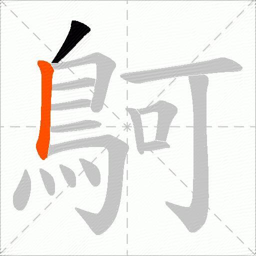 鴚
