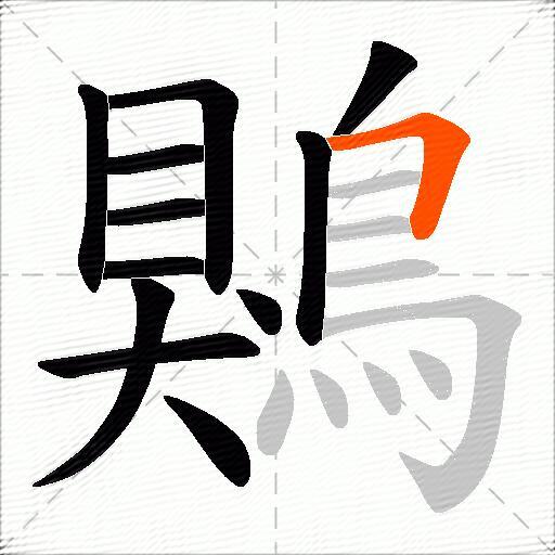 鶪
