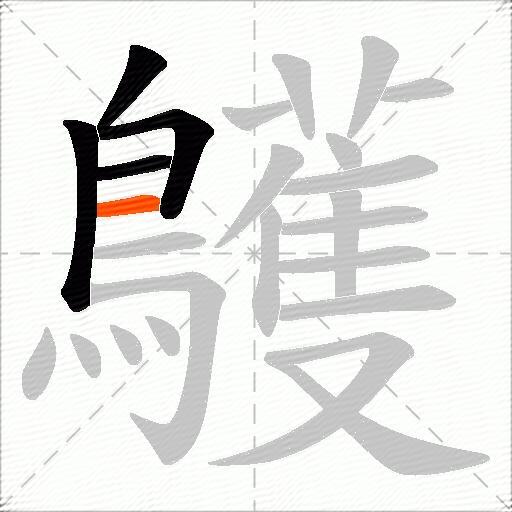鸌