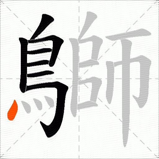 鶳