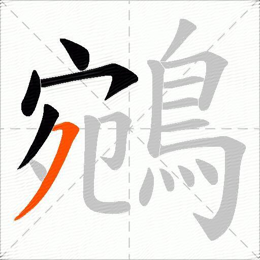 鵷