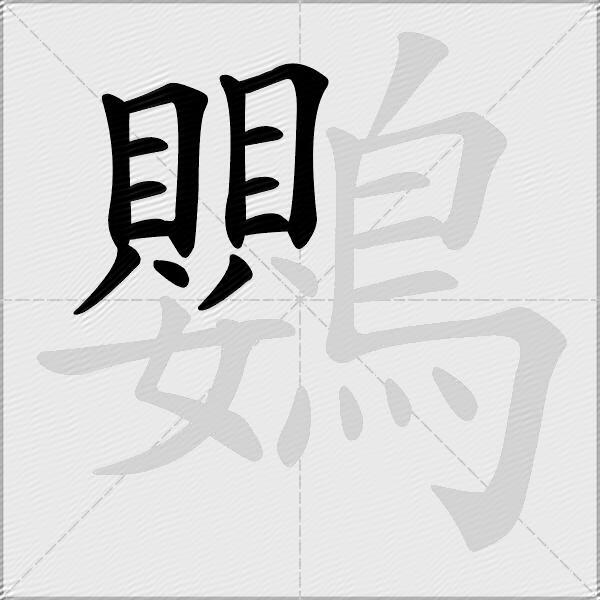 鸚