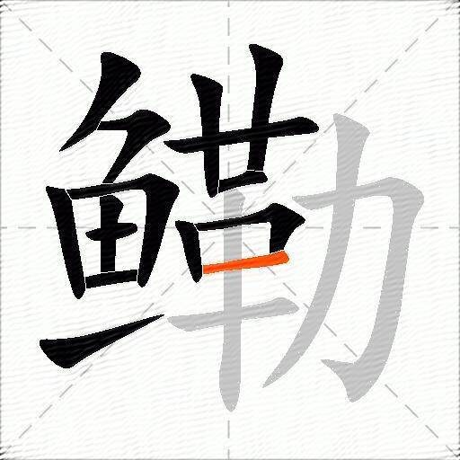 鳓