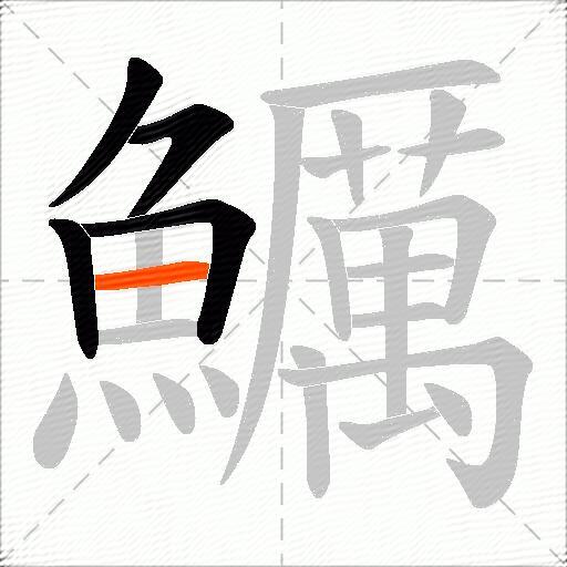 鱱