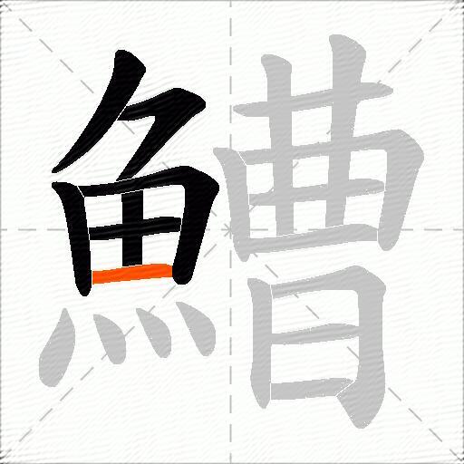 鰽