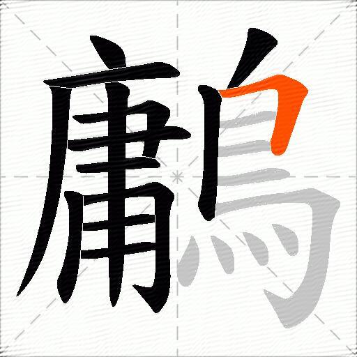 鷛