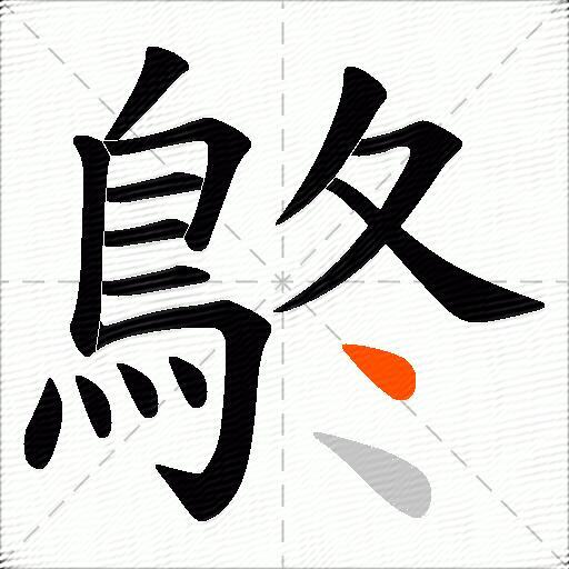 鴤