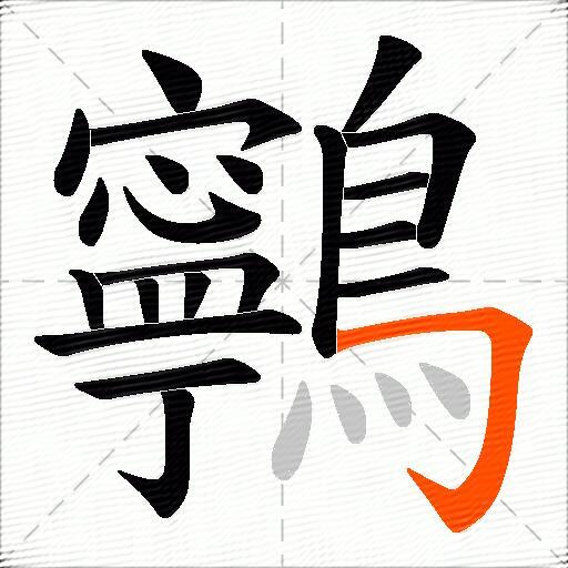 鸋