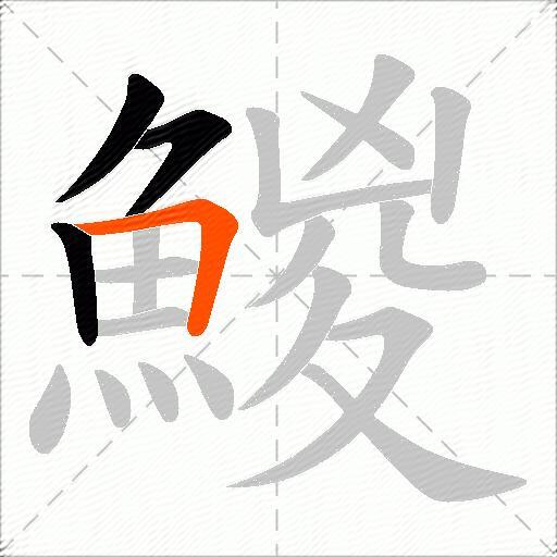 鯼
