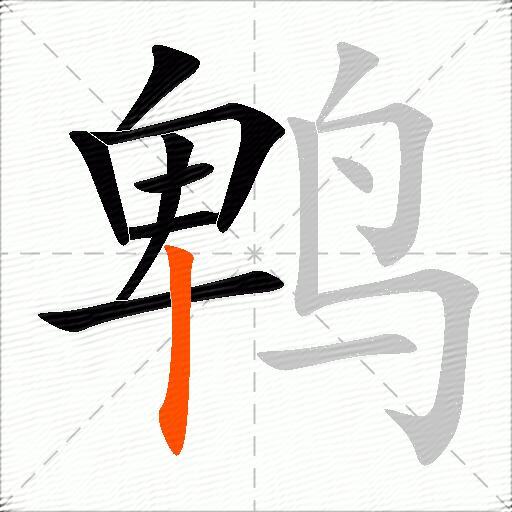 鹎
