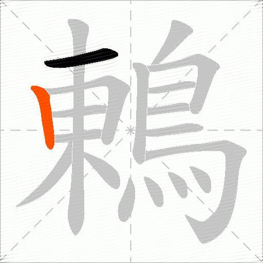 鶇