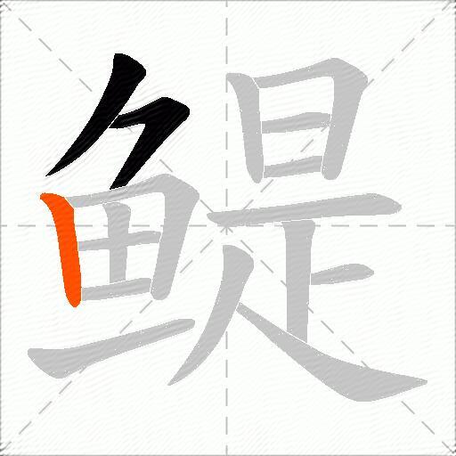 鳀