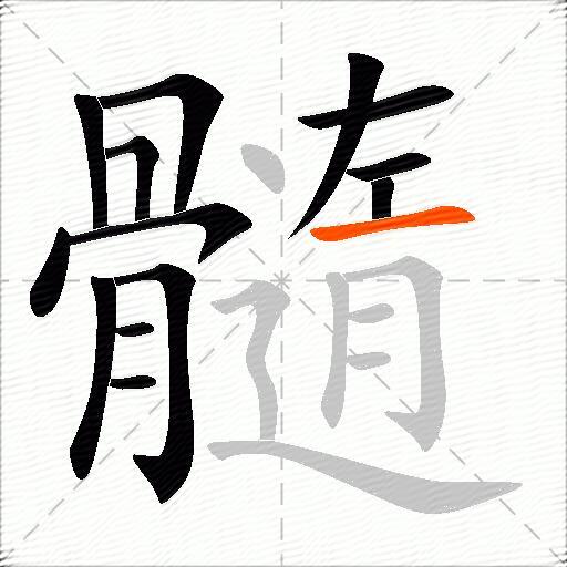 髓