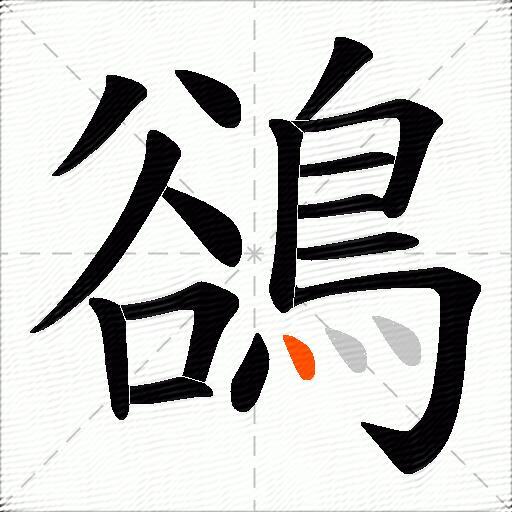 鵒