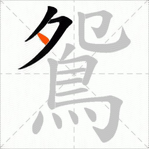 鴛