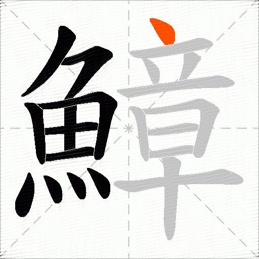 鱆