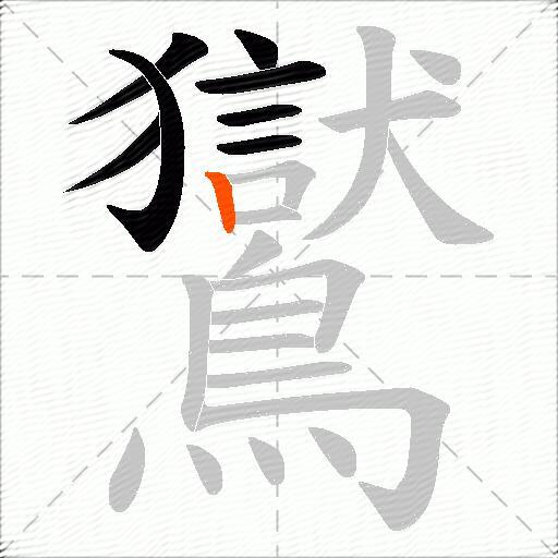 鸑