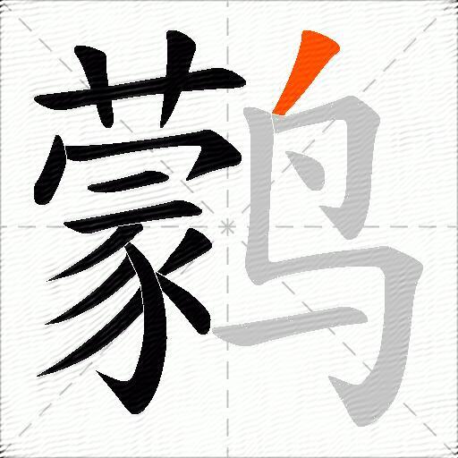 鹲