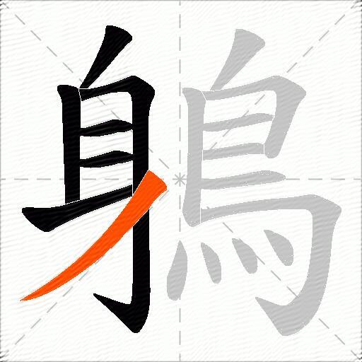 鵢