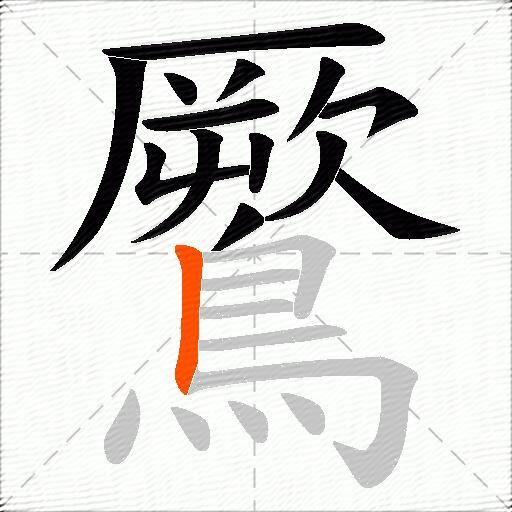 鷢