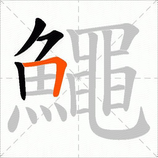鱦