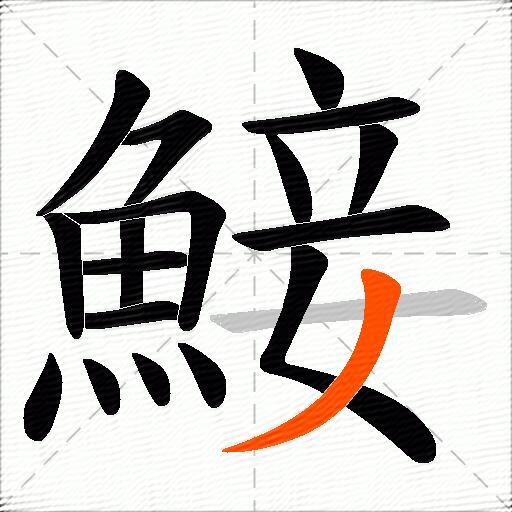 鯜