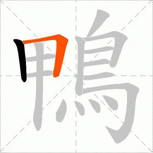 鴨