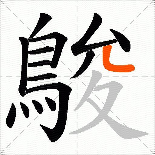 鵔